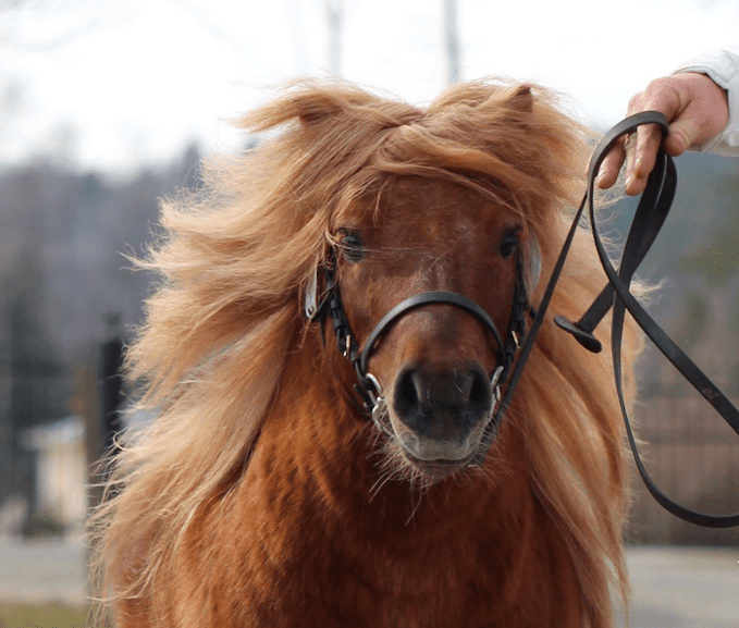 Skärmavbild 2018-12-01 kl. 15.21.58